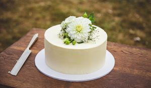 Preview wallpaper cake, flowers, white