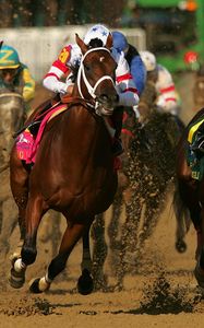 Preview wallpaper california chrome, kentucky derby, dominating fashion