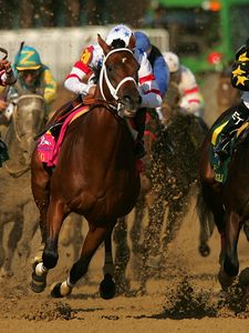 Preview wallpaper california chrome, kentucky derby, dominating fashion