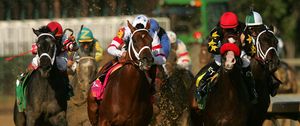 Preview wallpaper california chrome, kentucky derby, dominating fashion