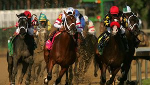 Preview wallpaper california chrome, kentucky derby, dominating fashion