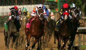 Preview wallpaper california chrome, kentucky derby, dominating fashion