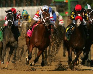 Preview wallpaper california chrome, kentucky derby, dominating fashion