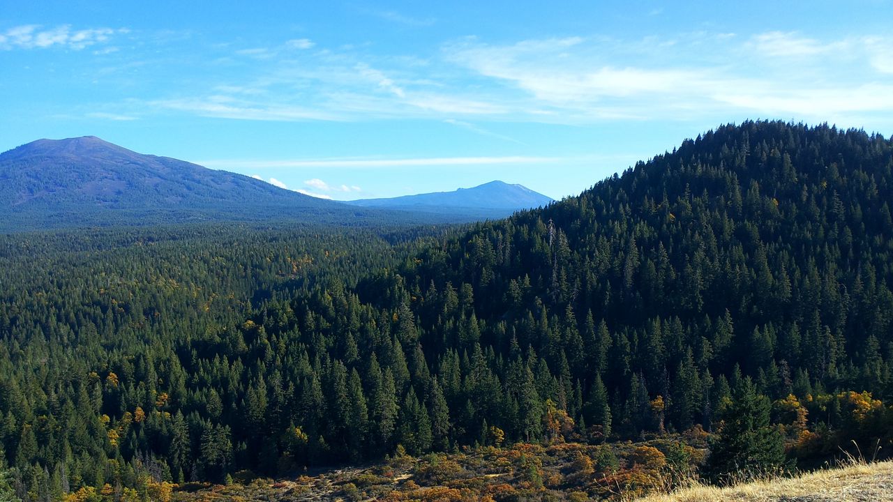 Wallpaper california, mountains, trees, grass, top view