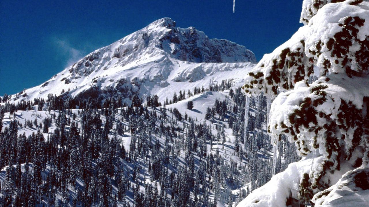 Wallpaper california, national park, trees, icicles, snow, mountains
