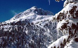 Preview wallpaper california, national park, trees, icicles, snow, mountains