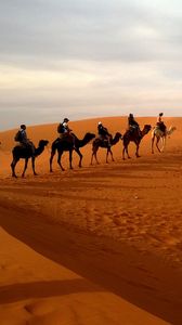 Preview wallpaper camels, caravan, desert, safaris, dune