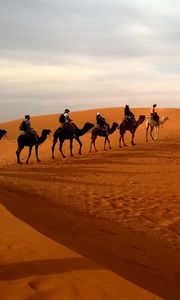 Preview wallpaper camels, caravan, desert, safaris, dune
