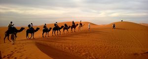 Preview wallpaper camels, caravan, desert, safaris, dune