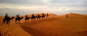 Preview wallpaper camels, caravan, desert, safaris, dune