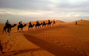 Preview wallpaper camels, caravan, desert, safaris, dune