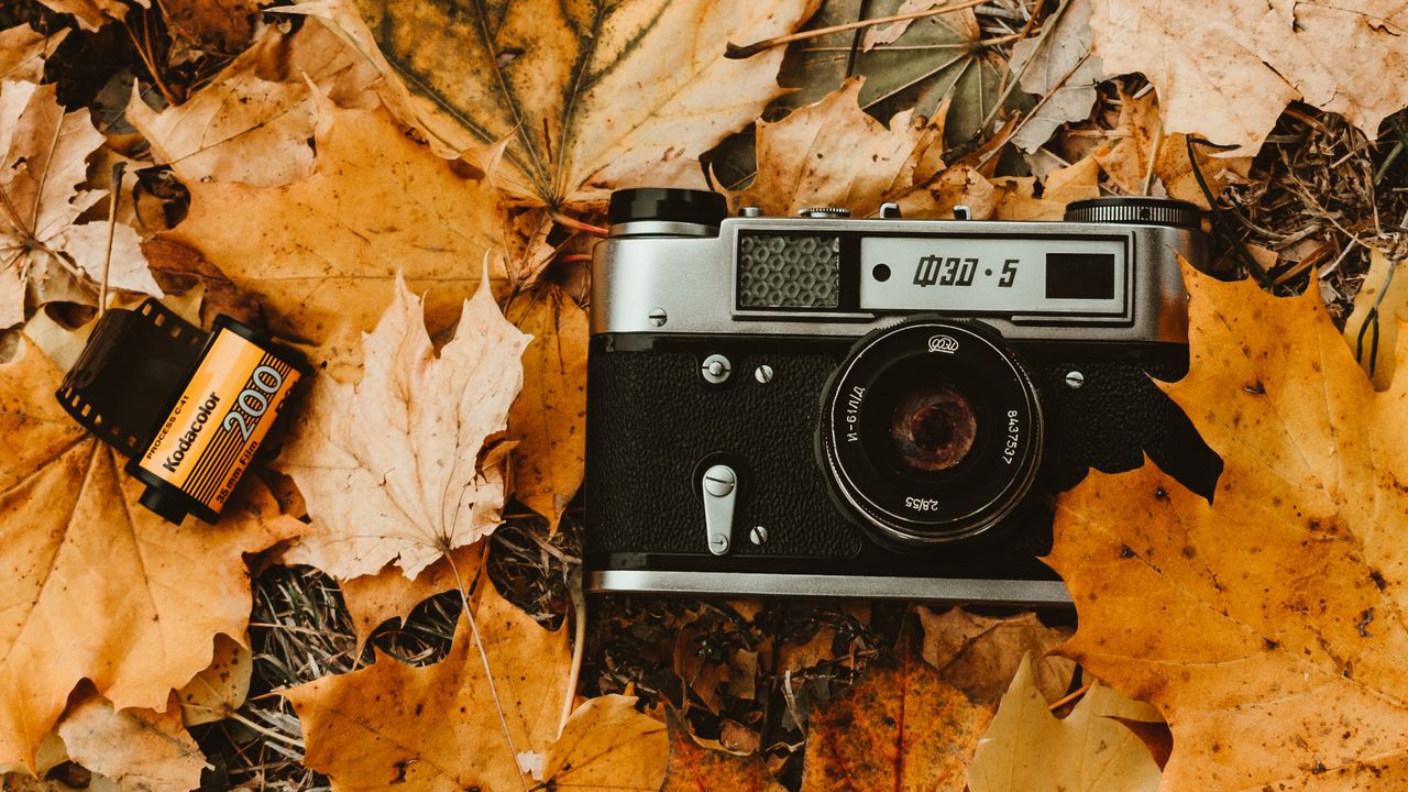 Wallpaper camera, autumn, foliage, retro, vintage, photographic film