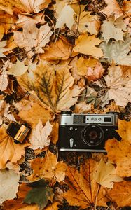 Preview wallpaper camera, autumn, foliage, retro, vintage, photographic film
