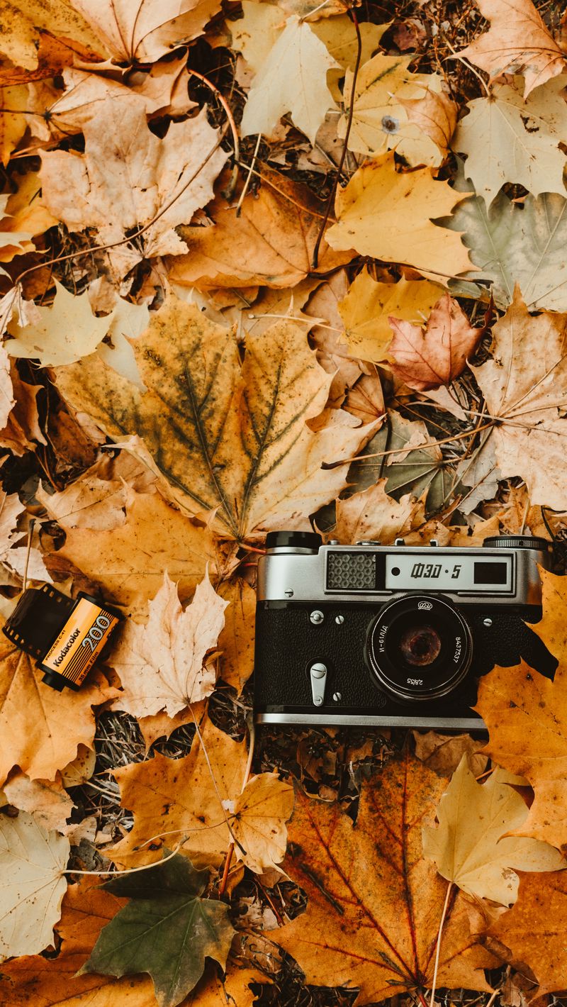 800x1420 Wallpaper camera, autumn, foliage, retro, vintage, photographic film