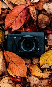 Preview wallpaper camera, foliage, autumn, leaves