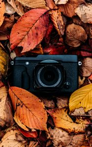 Preview wallpaper camera, foliage, autumn, leaves