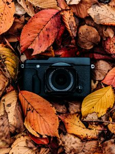 Preview wallpaper camera, foliage, autumn, leaves