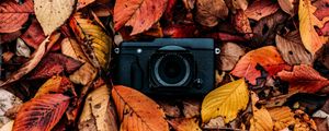 Preview wallpaper camera, foliage, autumn, leaves