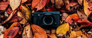 Preview wallpaper camera, foliage, autumn, leaves