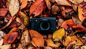 Preview wallpaper camera, foliage, autumn, leaves