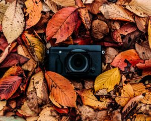 Preview wallpaper camera, foliage, autumn, leaves
