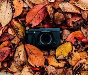 Preview wallpaper camera, foliage, autumn, leaves