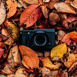 Preview wallpaper camera, foliage, autumn, leaves