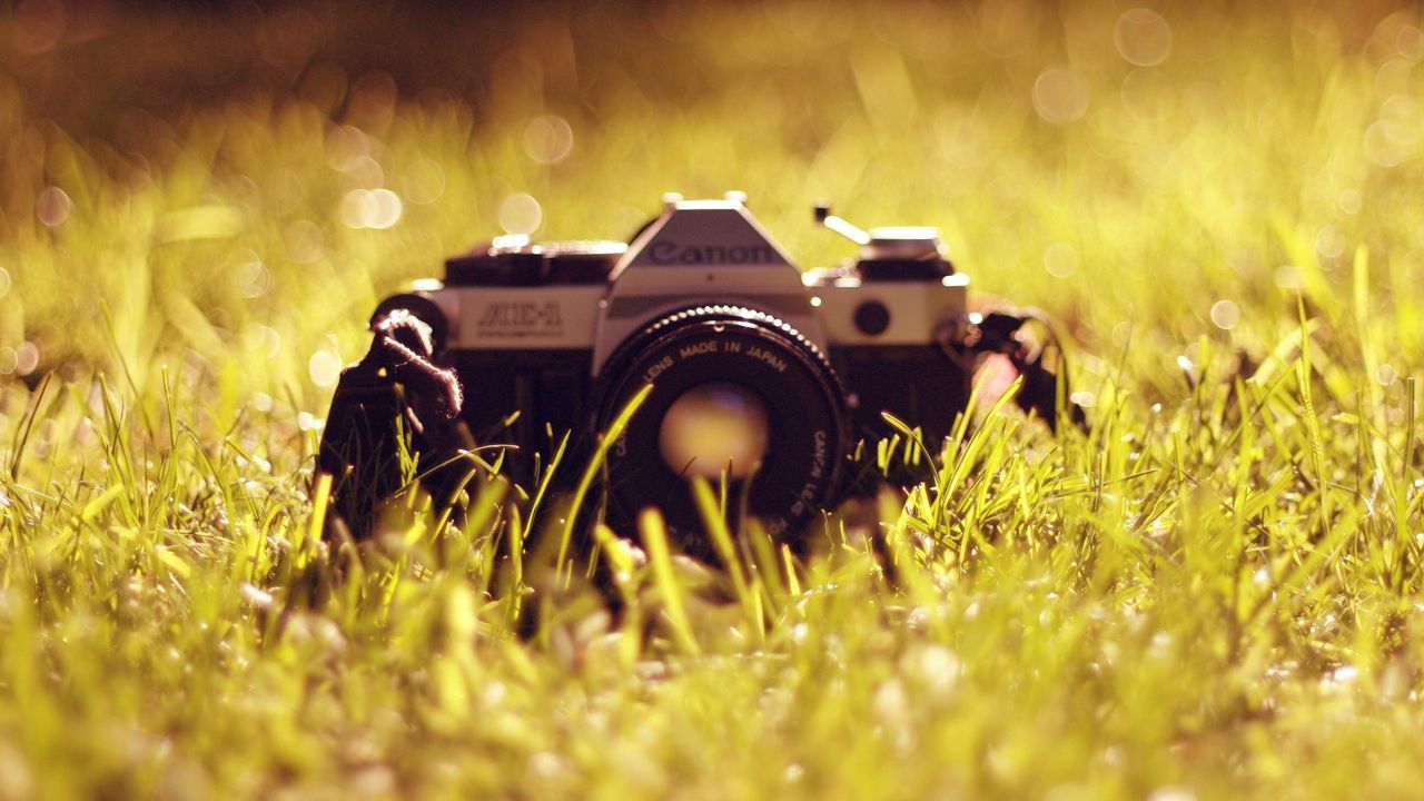 Wallpaper camera, grass, model