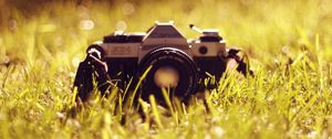 Preview wallpaper camera, grass, model