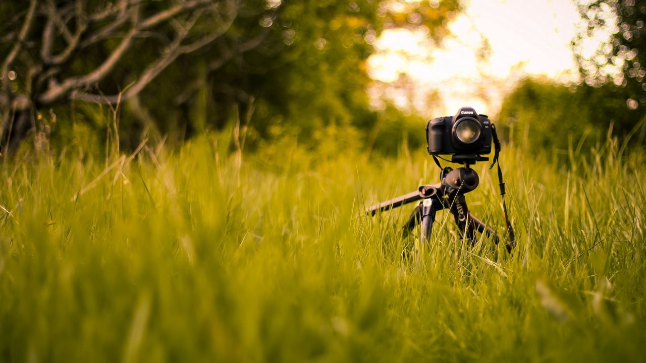 Wallpaper camera, grass, tripod