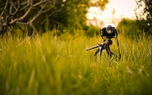 Preview wallpaper camera, grass, tripod