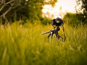 Preview wallpaper camera, grass, tripod