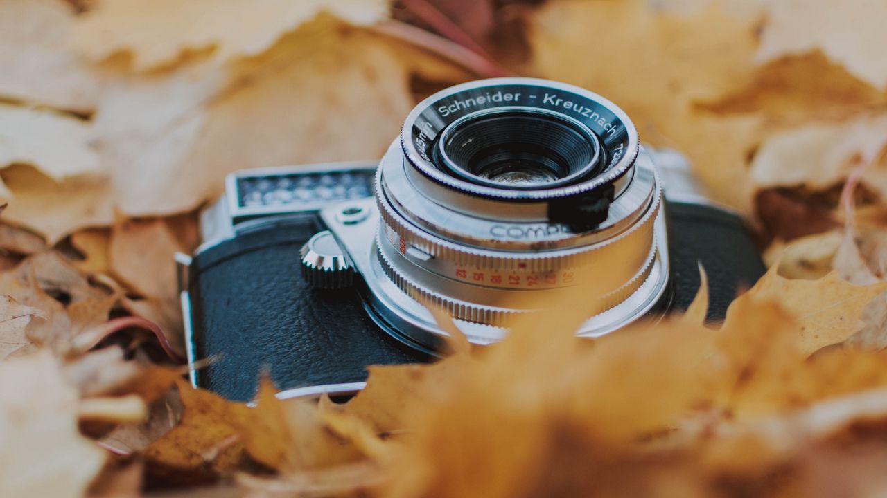 Wallpaper camera, leaves, foliage, dry, autumn