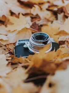 Preview wallpaper camera, leaves, foliage, dry, autumn