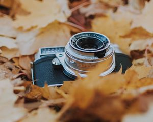 Preview wallpaper camera, leaves, foliage, dry, autumn