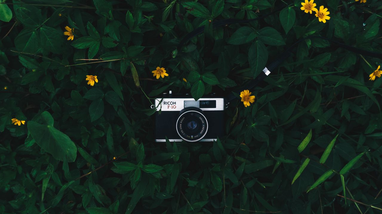 Wallpaper camera, lens, leaves, flowers, green, yellow