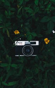 Preview wallpaper camera, lens, leaves, flowers, green, yellow