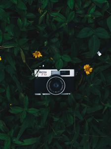 Preview wallpaper camera, lens, leaves, flowers, green, yellow