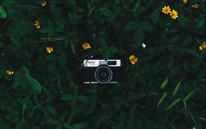Preview wallpaper camera, lens, leaves, flowers, green, yellow
