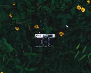Preview wallpaper camera, lens, leaves, flowers, green, yellow