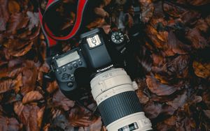 Preview wallpaper camera, lens, leaves