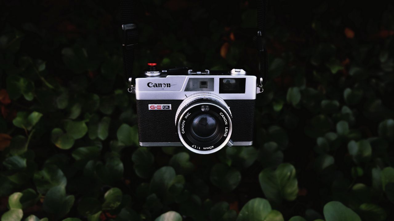 Wallpaper camera, lens, objective, retro, leaves, bush