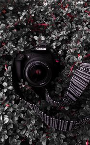 Preview wallpaper camera, lens, strap, plant, bush