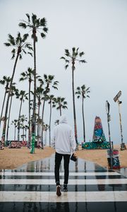 Preview wallpaper camera, photographer, hood, palm trees