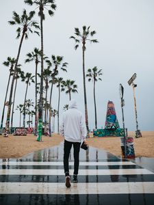 Preview wallpaper camera, photographer, hood, palm trees