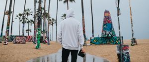 Preview wallpaper camera, photographer, hood, palm trees