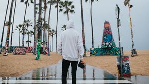 Preview wallpaper camera, photographer, hood, palm trees