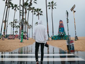 Preview wallpaper camera, photographer, hood, palm trees