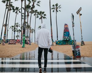 Preview wallpaper camera, photographer, hood, palm trees