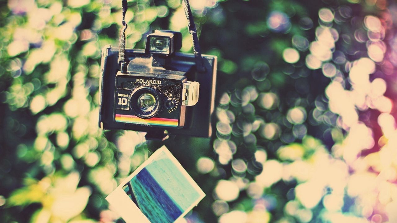 Wallpaper camera, polaroid camera, picture